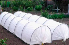 Урожайные мини-теплицы