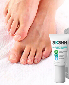 Экзин